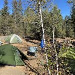 BWCA Campsite #870