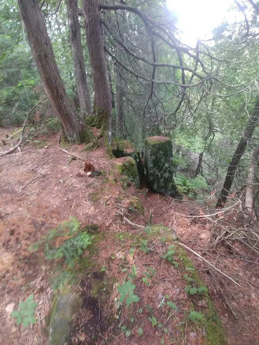 Cascade River Rustic Campground Picture 5
