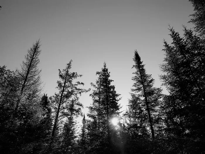 Cascade River Rustic Campground Picture 6