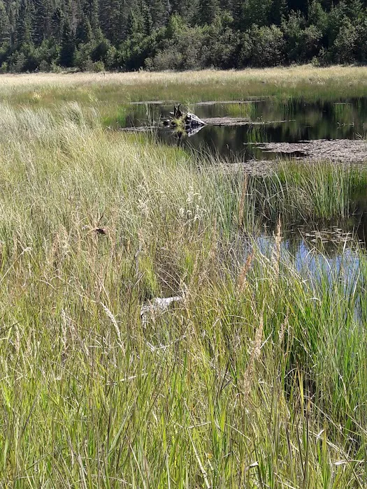 South Bally Creek Pond Camp Picture 2