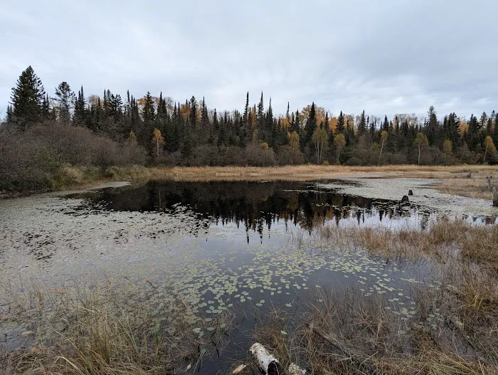 South Bally Creek Pond Camp Picture 6