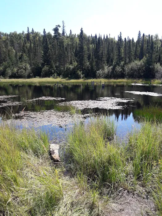 South Bally Creek Pond Camp Picture 5