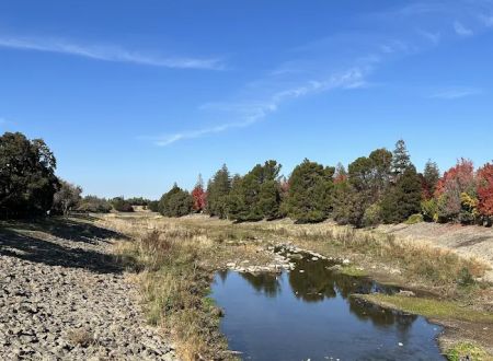 Brookview Park