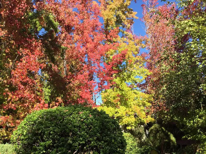 Brookview Park Picture 6