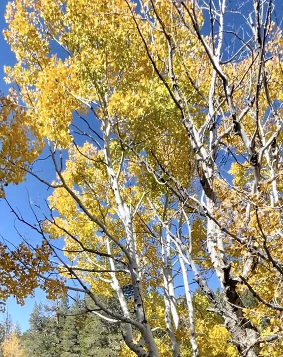 Brookview Park Picture 5