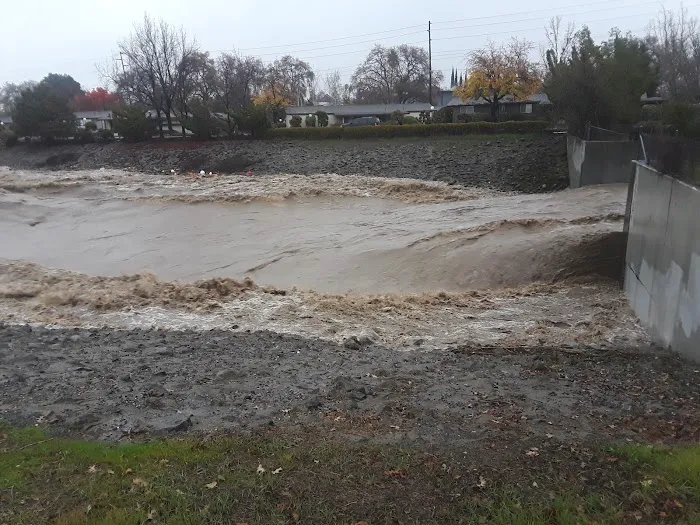 Brookview Park Picture 7