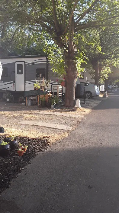 Sunny Acres Mobile Home & RV Park Picture 8