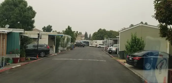 Trees Mobile Home Park Picture 2