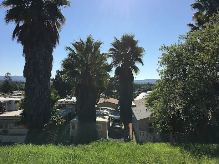 Town & Country Mobile Home Park Picture 6