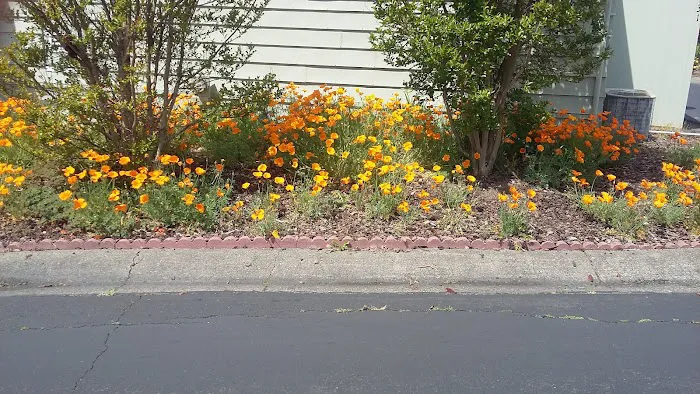 Rancho Grande Picture 6