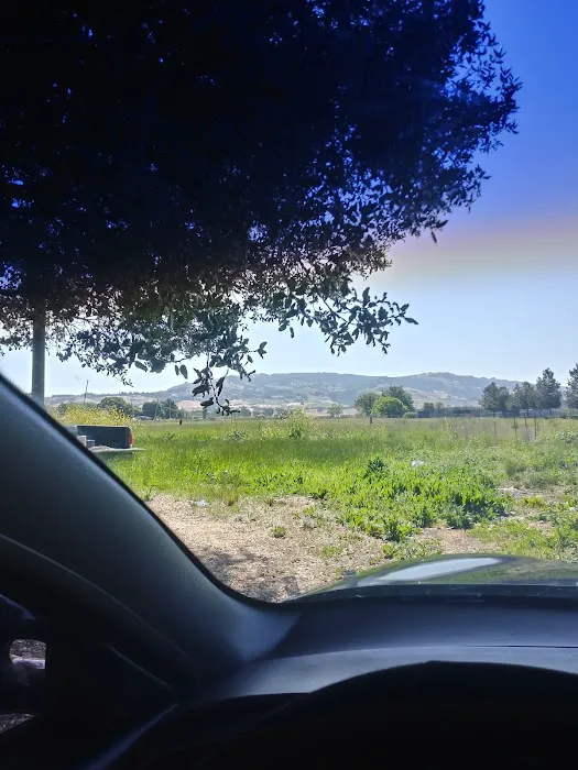 Rancho Grande Picture 7