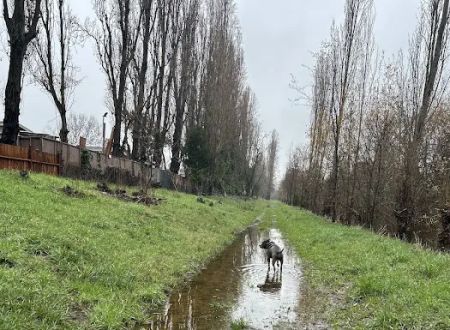 Rancho Verde