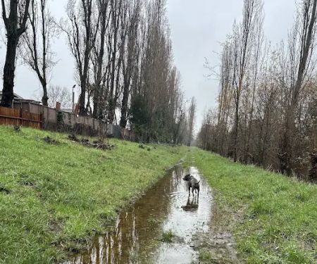 Rancho Verde