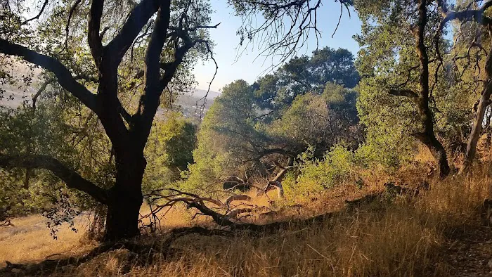 Santa Rosa Mobile Estates Picture 4