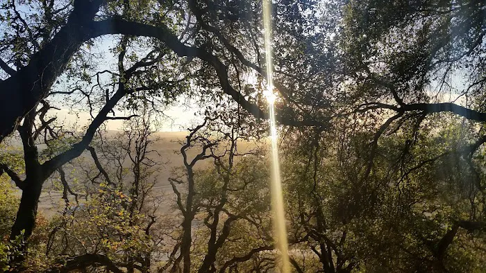 Santa Rosa Mobile Estates Picture 9