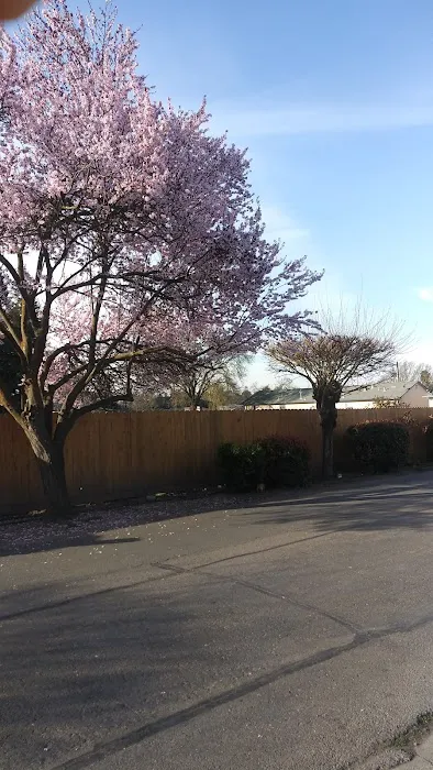 Plaza Mobile Home & RV Park Picture 9