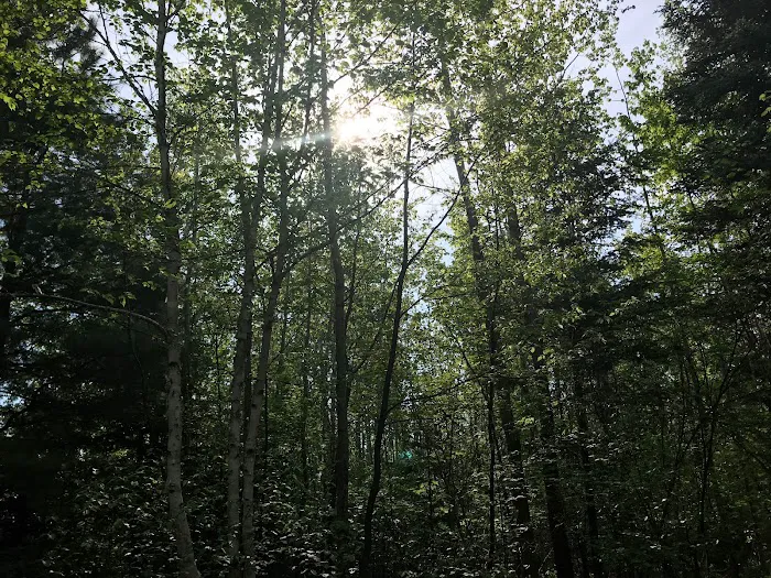 Echo Lake Campground Picture 9