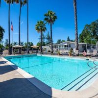 Napa Valley ico
