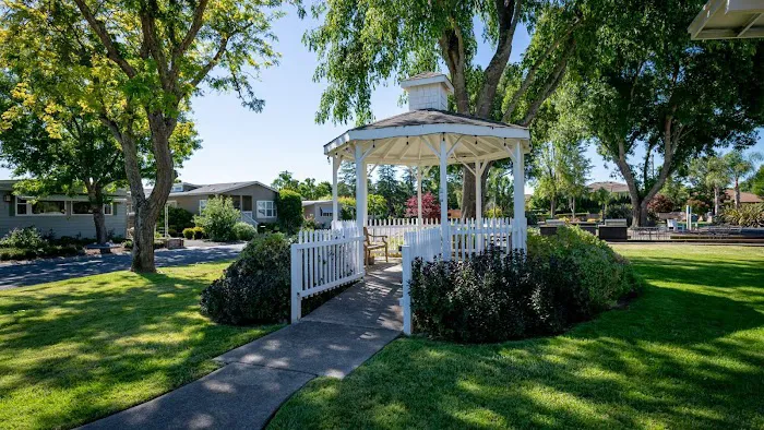 Napa Valley Picture 3