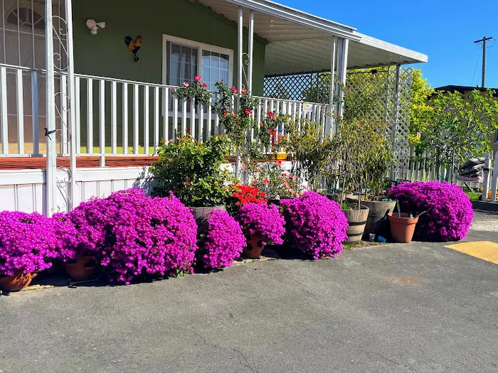 Grandview Mobile Home Park Picture 2