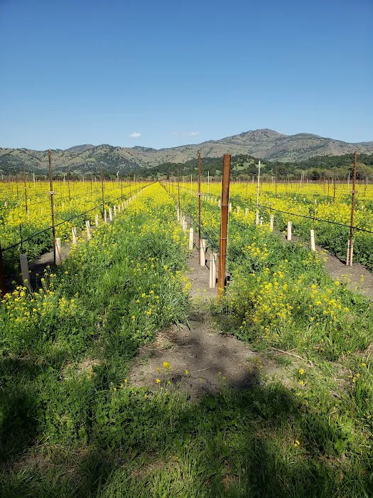 Rancho De Napa Mobile Estates Picture 6