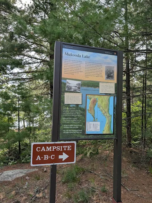 Mukooda Lake S12A-C Campsites Picture 3