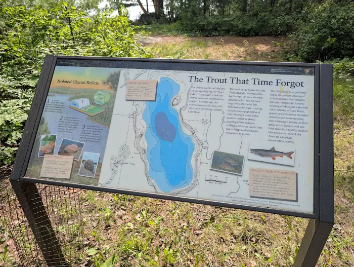 Mukooda Lake S12A-C Campsites Picture 10