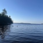 Ingersoll Cove S30 Campsite