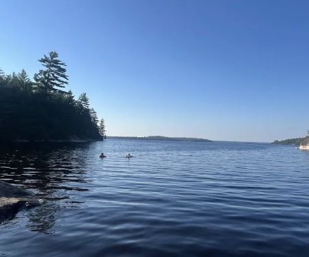 Ingersoll Cove S30 Campsite