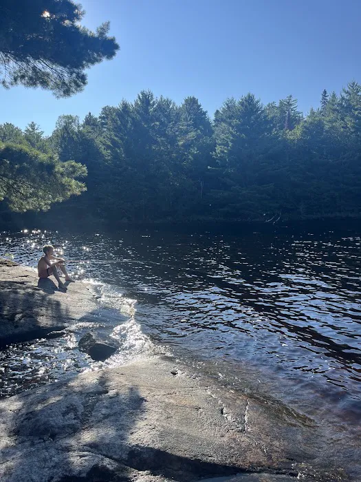 Ingersoll Cove S30 Campsite Picture 7