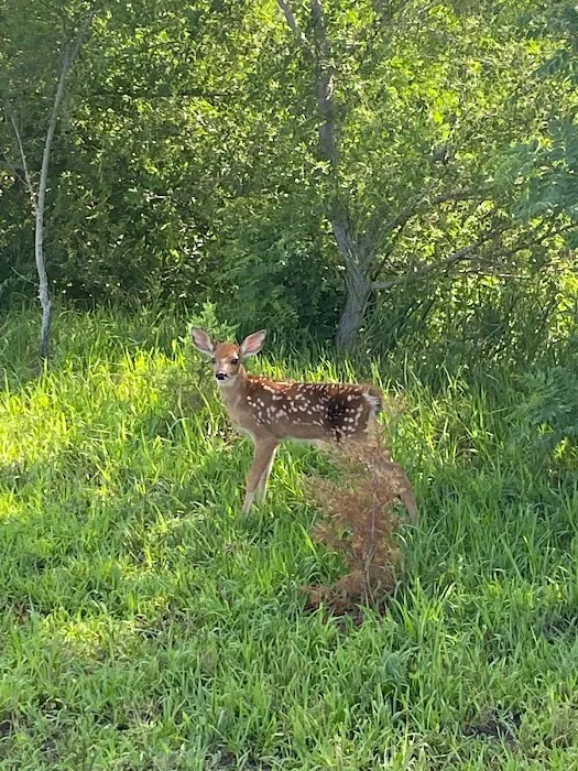 Little Rivers Edge RV Park Picture 4