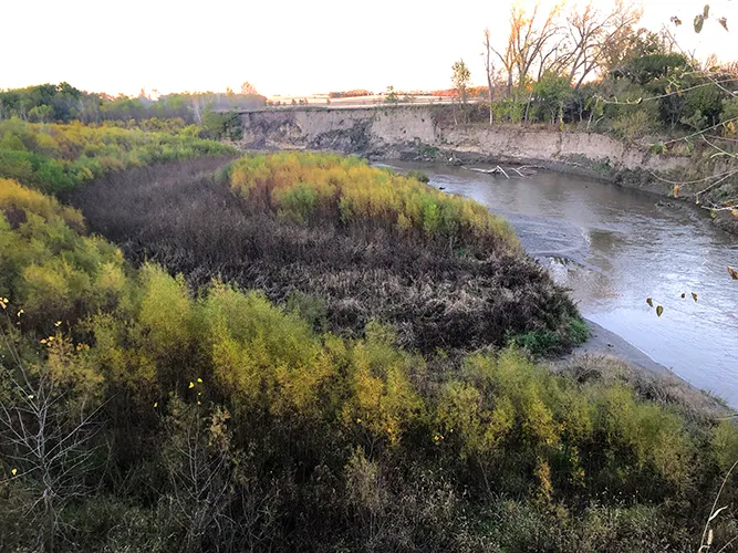 Little Rivers Edge RV Park Picture 6
