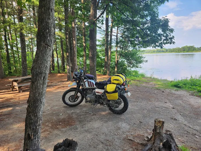 Hungryman Forest Campground Picture 4