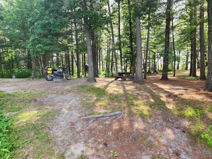 Hungryman Forest Campground Picture 5