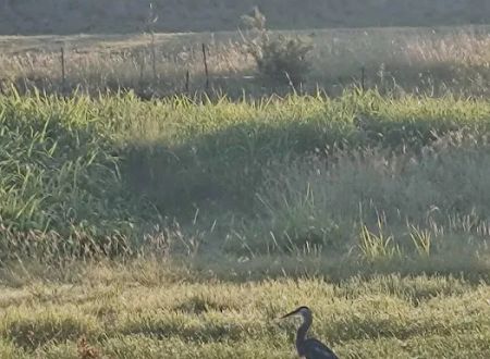 Lampasas RV Ranch