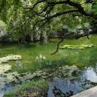 Lampasas Creekside Coach Park ico
