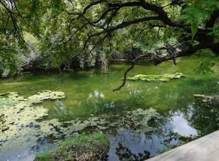 Lampasas Creekside Coach Park