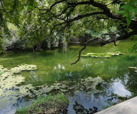 Lampasas Creekside Coach Park