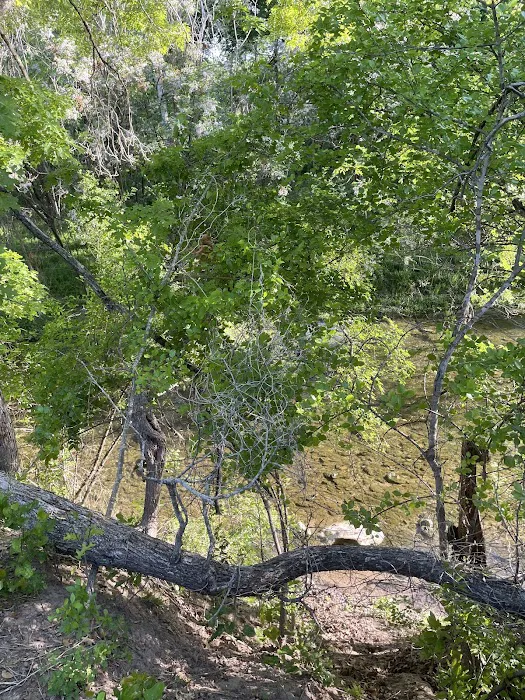 Lampasas Creekside Coach Park Picture 10