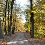 Long Lake Campsite & RV