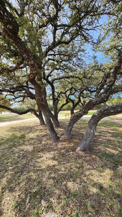 Bluebonnet Acres RV Park Picture 7