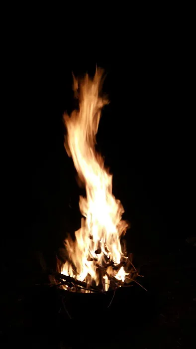 Tony's Campground Picture 6