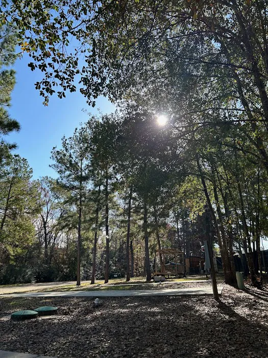 Legacy Pines RV Resort Picture 7