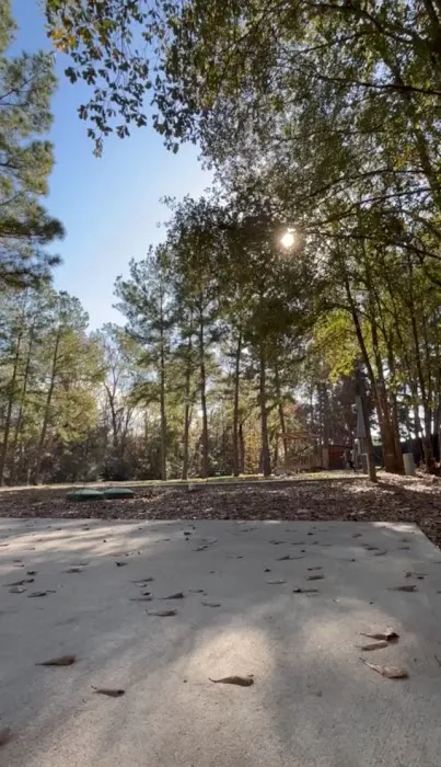 Legacy Pines RV Resort Picture 8