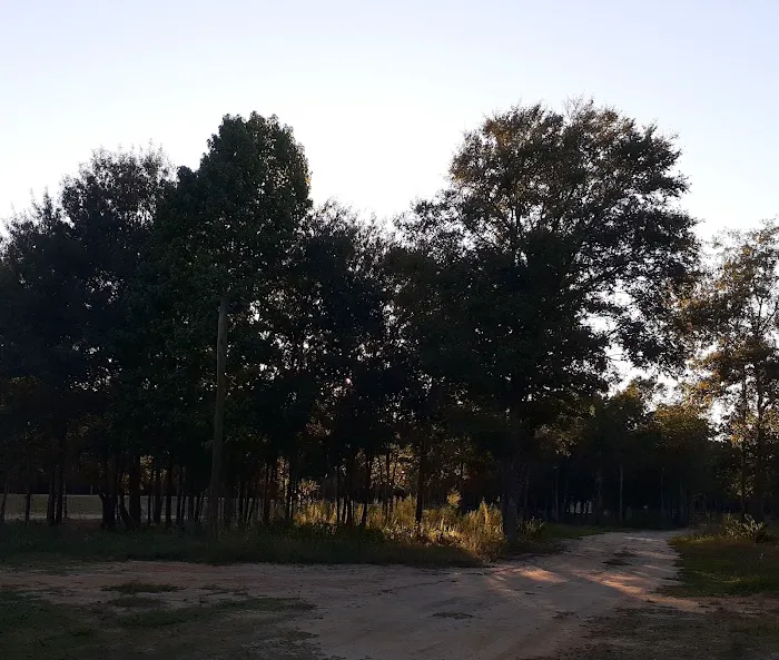 12 Acre Woods RV Park, LLC Picture 5