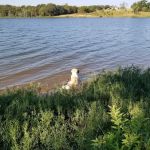 Bell Cow Lake Campground - Area A