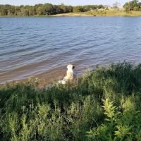 Bell Cow Lake Campground - Area A ico