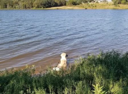 Bell Cow Lake Campground - Area A