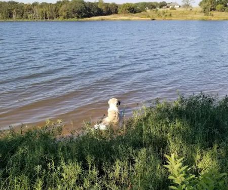 Bell Cow Lake Campground - Area A