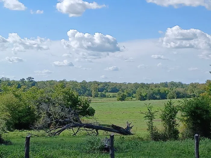 Birthplace of Texas RV Park Picture 5